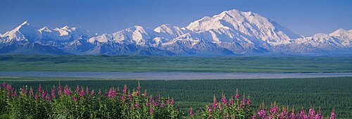 Snow covered mountains on a landscape, Denali National Park, Alaska, USA