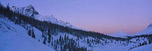 Low angle view of snowcapped mountains, Sunwapta Pass, Icefields Parkway, Banff National Park, Alberta, Canada