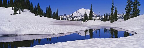 Reflection of trees in a lake with snowcapped mountain in the background, Tipsoo Lake, Mt Rainier National Park, Washington State, USA