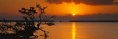 Sunrise over bay, Florida Bay, Everglades National Park, Florida, USA