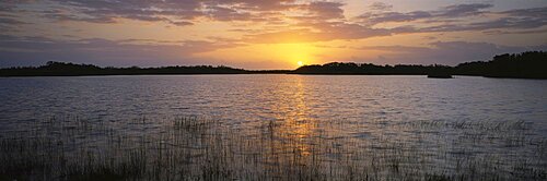 Sunrise over a pond, Nine Mile Pond, Everglades National Park, Florida, USA