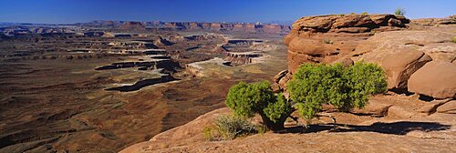 High angle view of a canyon, Canyonlands National Park, Utah, USA