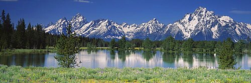 Reflection of a mountain range and pine trees in water, Grand Teton National Park, Wyoming, USA