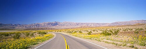 Empty road passing through a landscape, Death Valley, California, USA