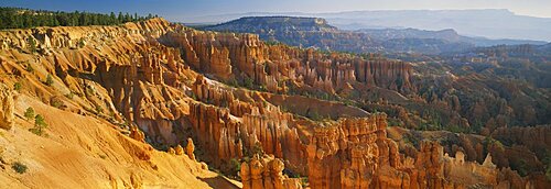 High angle view of rock formations, Bryce Canyon, Bryce Canyon National Park, Utah, USA