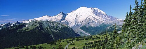 Forest On A Mountainside, Mt Rainier, Mt Rainier National Park, Washington State, USA