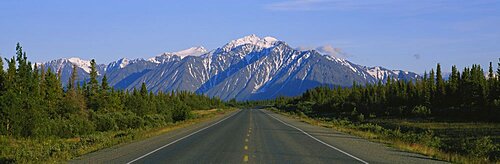 Plants on both sides of a highway, St. Elias Mountains, Yukon, Canada