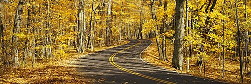 Empty road passing through a forest, Parnell, Wisconsin, USA