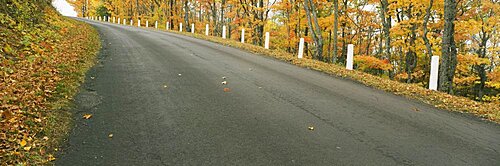 Trees on the roadside, Brockway Mountain Drive, Keweenaw County, Michigan, USA