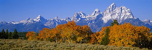 Panoramic view of mountains, Grand Teton, Teton Range, Grand Teton National Park, Wyoming, USA