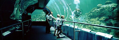 Australia, Townsville, Underwaterworld, Side profile of a family watching a scuba diver in an aquarium