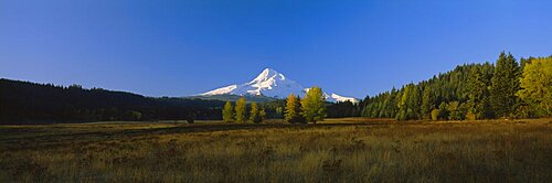 Panoramic view of a mountain, Mt Hood, Oregon, USA