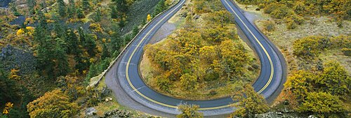 High angle view of a road passing through a forest, Columbia River Highway, Rowena, Oregon, USA