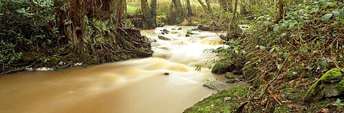 Stream Flowing Through A Forest, Eskdale Stream, Lake District National Park, Cumbria, England, United Kingdom