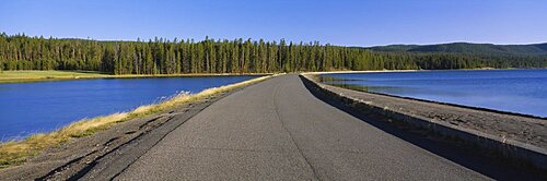 Road running through a landscape, Bridge Bay, Yellowstone Lake, Yellowstone National Park, Teton County, Wyoming, USA