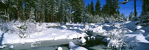 Snow along a river, Alpine River, Yosemite National Park, California, USA