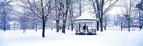 Winter Gazebo VT