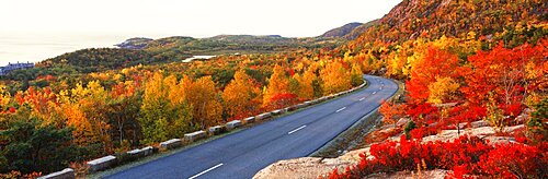 Park Loop Road Acadia National Park ME USA