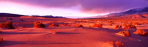 Olancha Sand Dunes Olancha CA