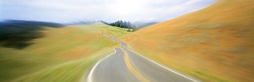 USA , California, Marin County, road