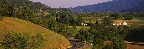 High angle view of a road on hillside, Highway 29, Calistoga, California, USA