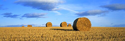 Hay Bales Scotland