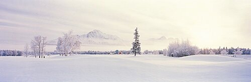 Snowy Farm Pioneer Peak Chugach Mountains Palmer AK