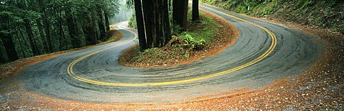 USA , California, Marin County, road