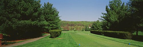 Hedges on a golf course, Towson Golf and Country Club, Baltimore County, Maryland, USA