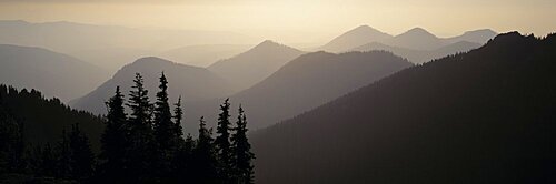 Mount Rainier National Park WA USA