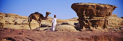 Person standing with his camel, Wat Suwandararam, Ayuthaya, Thailand