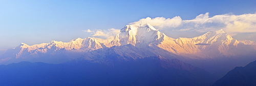 Dhaulagiri Himal seen from Khopra, Annapurna Conservation Area, Dhawalagiri (Dhaulagiri), Western Region (Pashchimanchal), Nepal, Himalayas, Asia