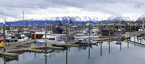 Fishing Boats, Homer, Alaska, United States of America, North America