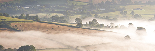 Mist covered rolling countryside near the village of Cadbury, Devon, England, United Kingdom, Europe 