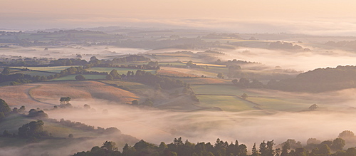 Mist covered rolling countryside at dawn, Chagford, Dartmoor National Park, Devon, England, United Kingdom, Europe