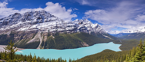 Peyto Lake on the Icefields Parkway, Banff National Park, UNESCO World Heritage Site, Canadian Rockies, Alberta, Canada, North America