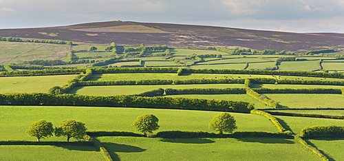 Patchwork rolling countryside below Dunkery Beacon, Exmoor, Somerset, England, United Kingdom, Europe