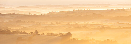 Mist covered rolling countryside at dawn in winter, Dartmoor, Devon, England, United Kingdom, Europe