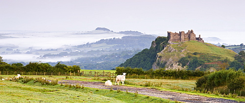 Carreg Cennen Castle at dawn on a misty summer morning, Brecon Beacons National Park, Carmarthenshire, Wales, United Kingdom, Europe