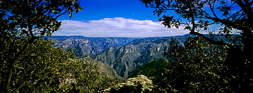 The Copper Canyon, a group of canyons in the Sierra Tarahumara in the state of Chihuahua near Divisadero, Chichuahua, Mexico, North America