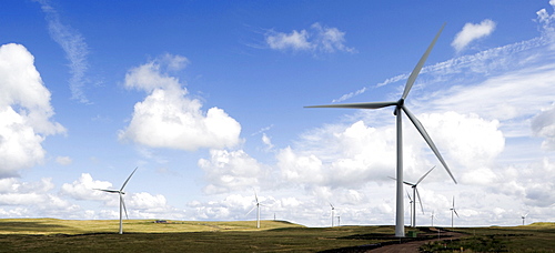 Whitelee Wind Farm, near Glasgow, Scotland, United Kingdom, Europe