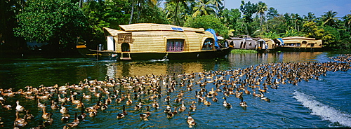 Kettuvallom Houseboat, Kumarakom Backwaters, Kerala, India, Asia