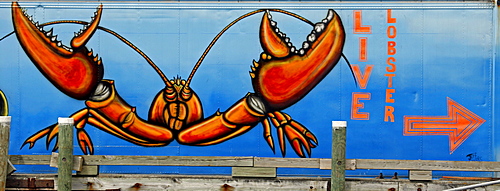 Live lobster sign, Port Clyde, fishing village, Maine, New England, USA