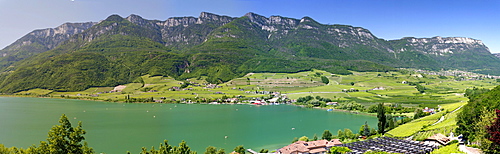 Panorama, Kalterer See or Lake Kalterer, South Tyrol, Italy, Europe