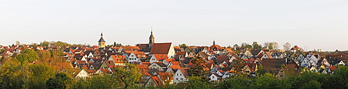 View of Marbach am Neckar, Baden-Wuerttemberg, Germany, Europe