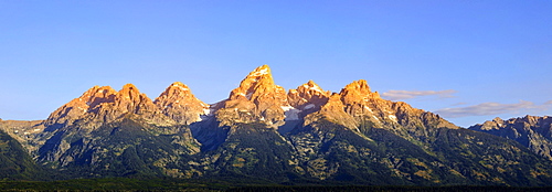 John and Bartha Moulton Homestead Mormon Barn in the morning, historic barn of the Mormons in front of the Teton Range, Mormon Row Historic District, Antelope Flats, Grand Teton National Park, Wyoming, United States of America, USA