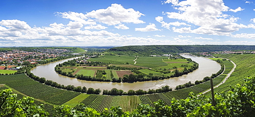 Mundelsheim Necker river loop, Baden-Wuerttemberg, Germany, Europe