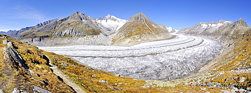 View from the Aletsch Panorama Trail down to the 23, 1 km long Aletsch Glacier, Canton of Valais, Switzerland, Europe