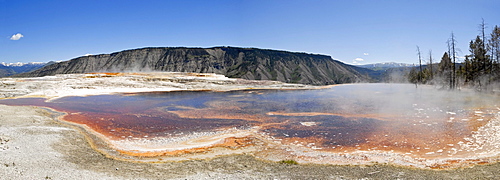 Panoramic view, view of Mount Everts from the Canary Spring, Mammoth Hot Springs, Yellowstone National Park, Wyoming, USA