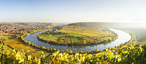 Mundelsheim river loop, Neckar river, autumn, Baden-Wuerttemberg, Germany, Europe